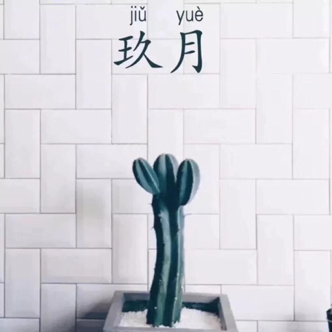 赵雪强