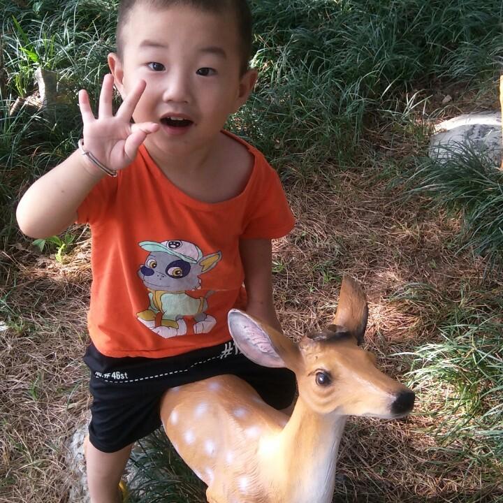 张驰有度