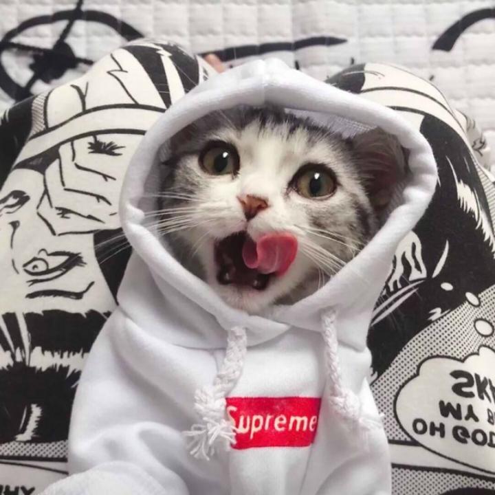 艾上生活馆个体店