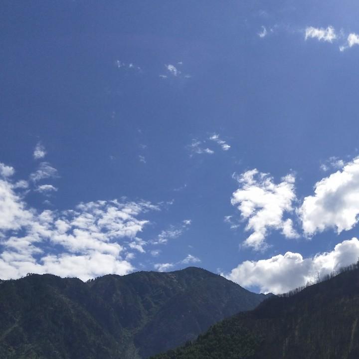 冰枫