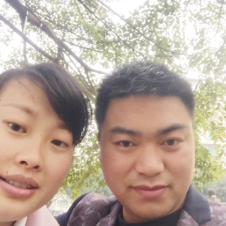 简阳挖机出租