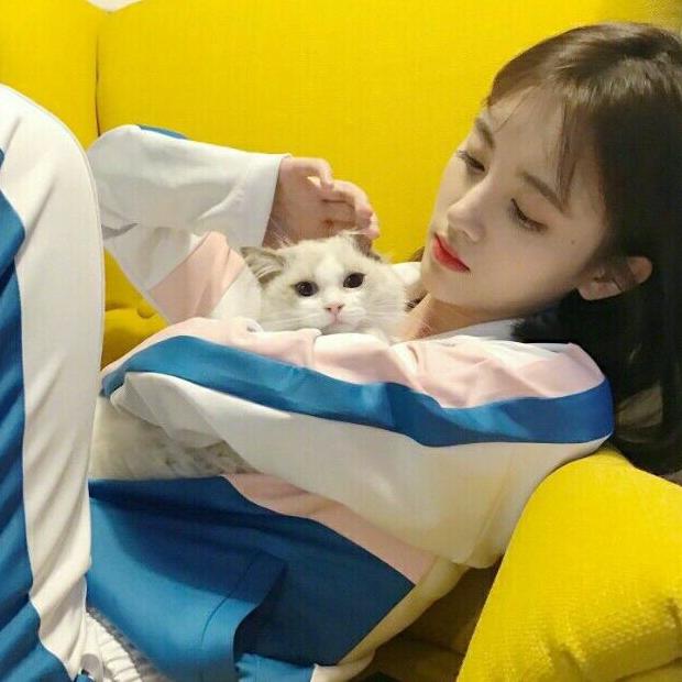 转角丶莹流花香 