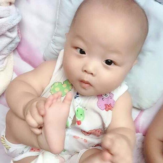 我家我家