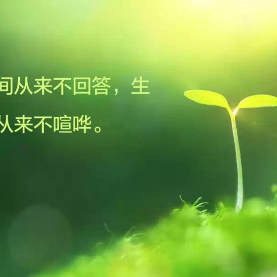 珍惜当下 才是王道