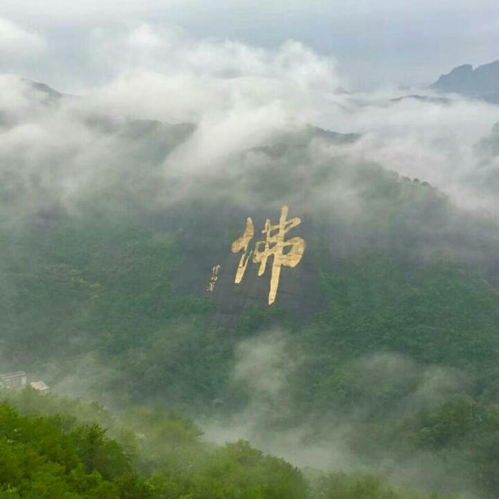 沙沙