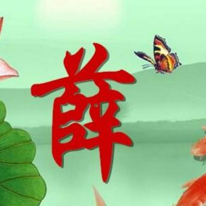 薛庆波