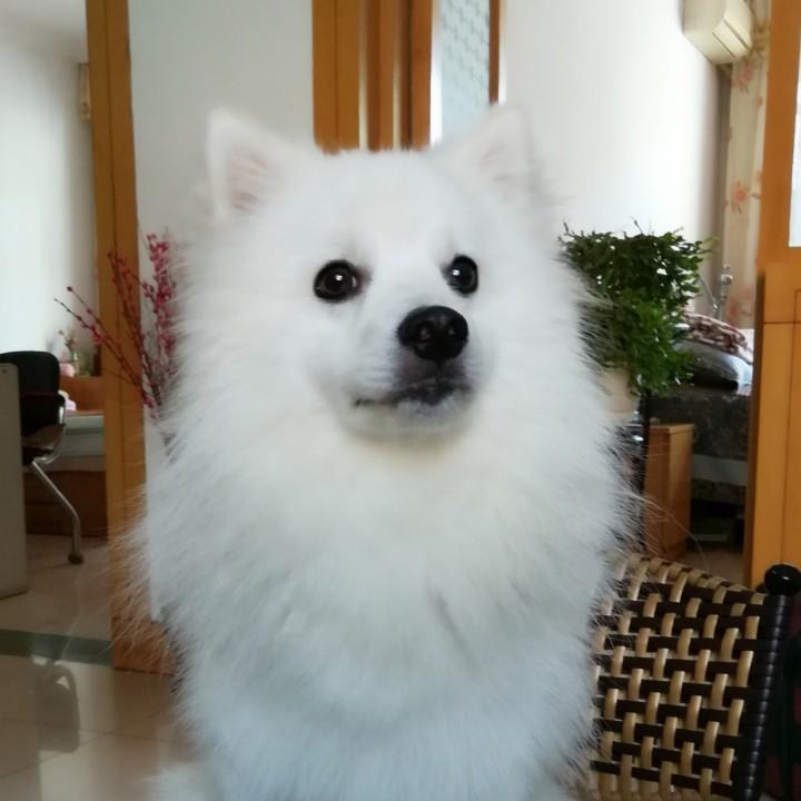 随遇而安