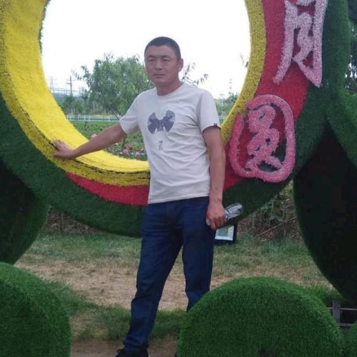 自由飞翔219006592落叶
