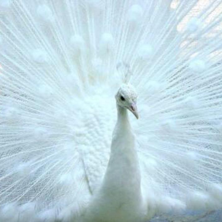 萌宠特种养殖基地@抖音