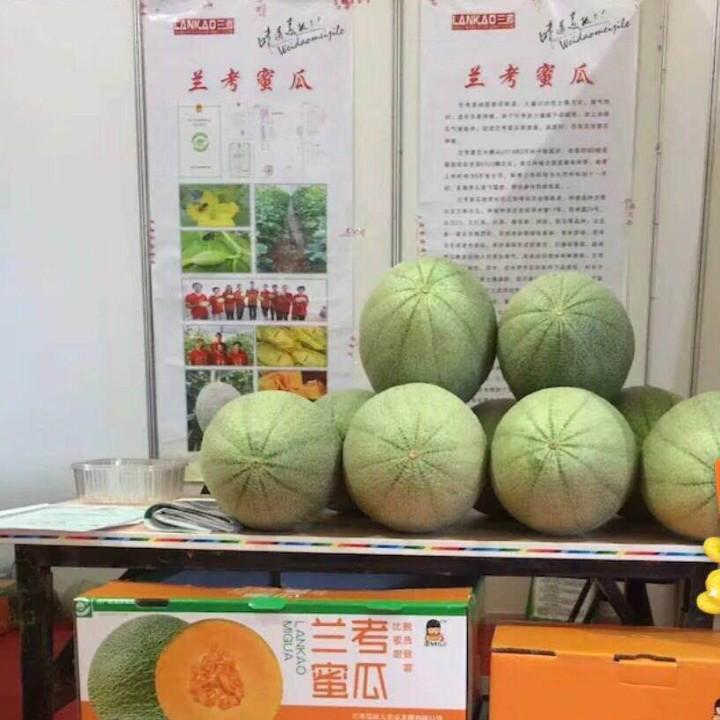 蜜瓜建哥