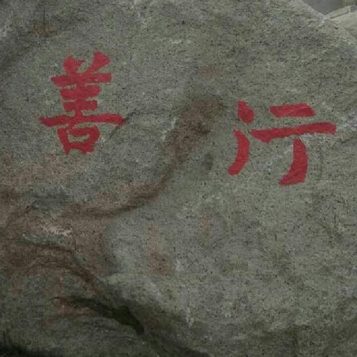 武安鑫哥