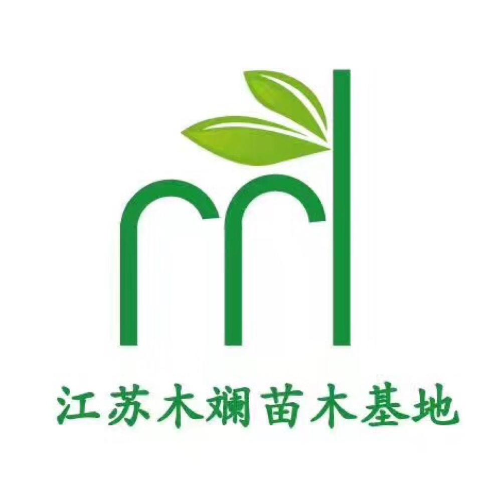 木斓
