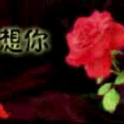 晴空万里。拉丝。断料加工