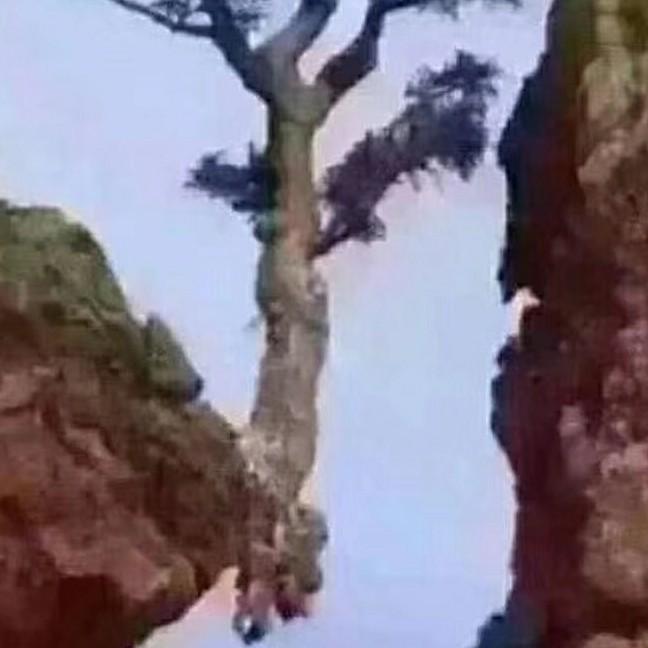 绝处逢生