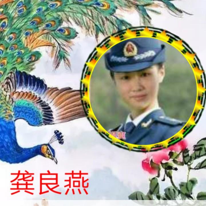 小燕子。