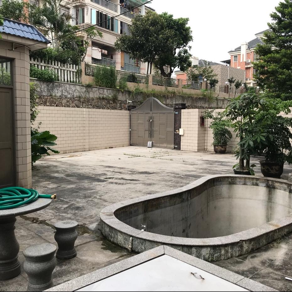 刚光