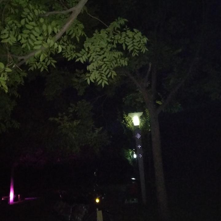 庄