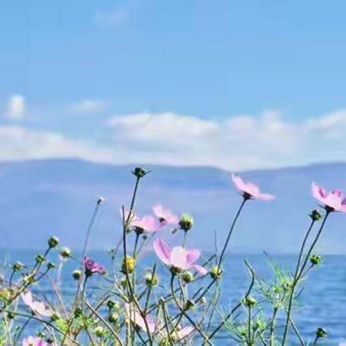 合一母婴万和店宋雪珊