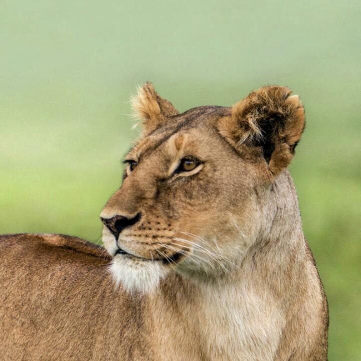 端市爱玛店小王车行