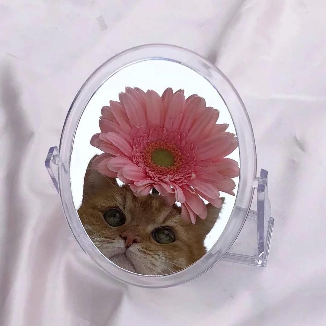 顺其自然就好啦