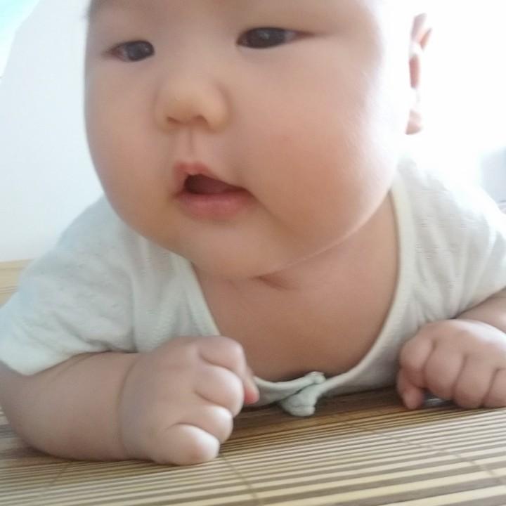 肉嘟嘟