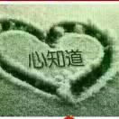宁静❤️