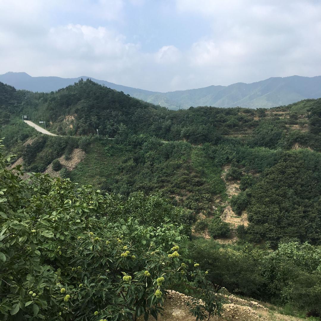 最后的骑士