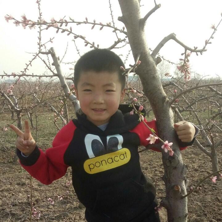 专业不锈钢 彩钢棚 代收各种水果