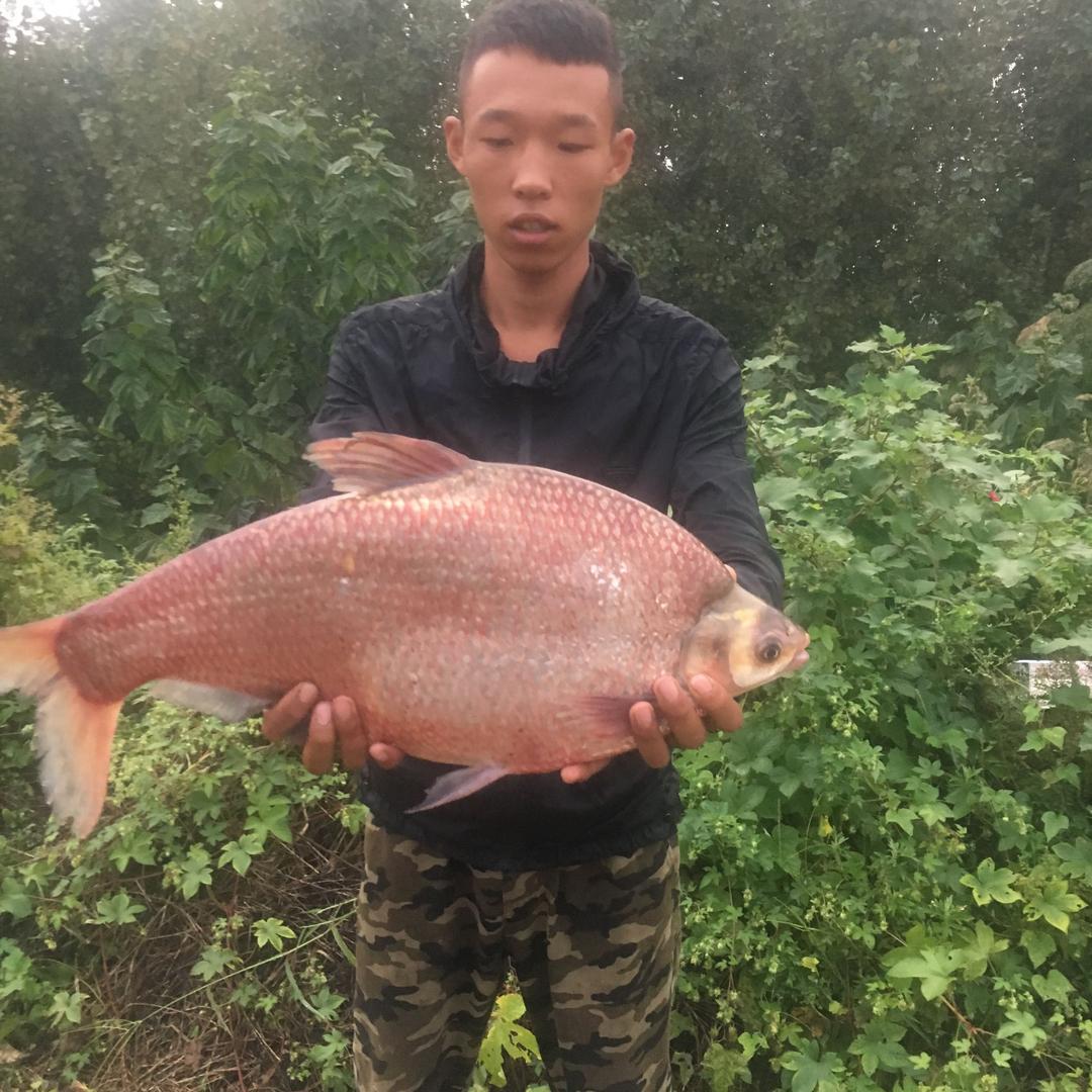 五莲李家官庄水库