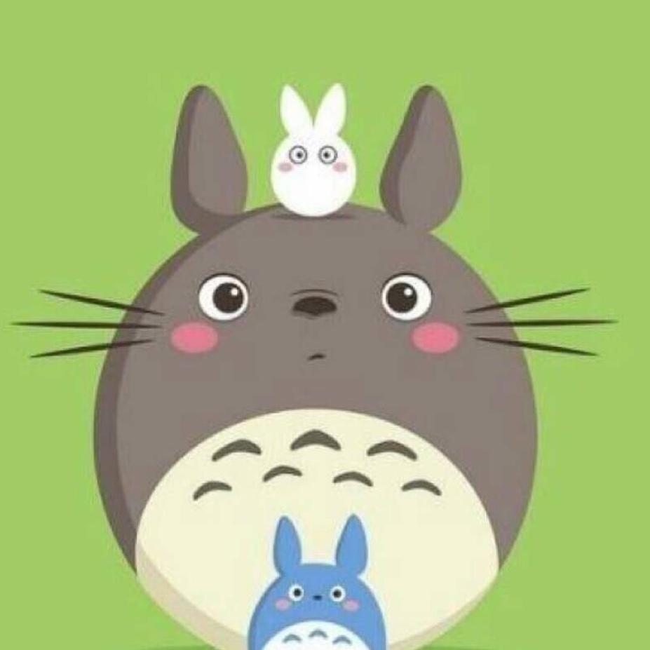龙猫