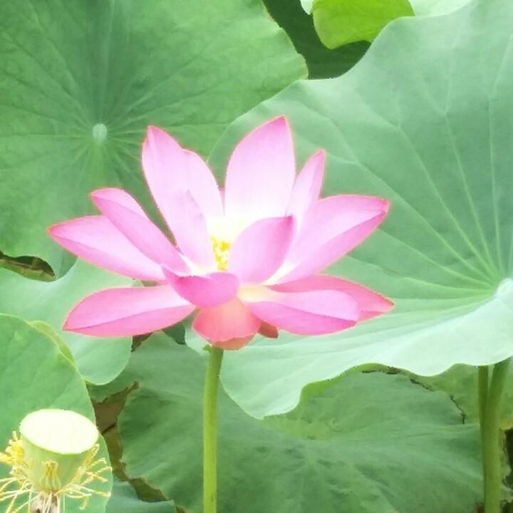 一路长虹
