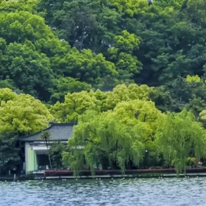 陇南鑫煜商贸中心