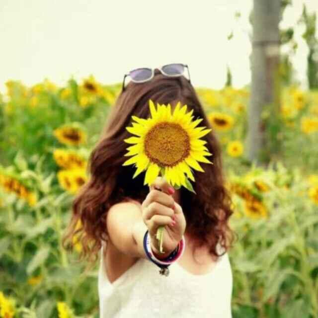 向日葵 🌻