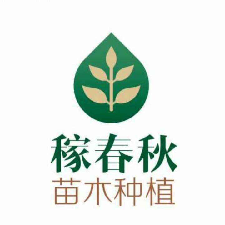 新疆海燕姐爱生活