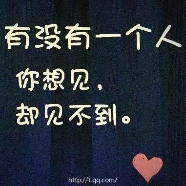 子歆19