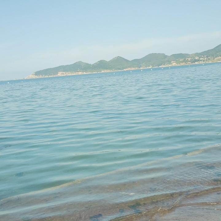 唯爱孤独