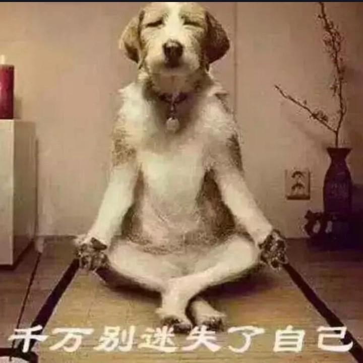 精神病研究院，车教授。