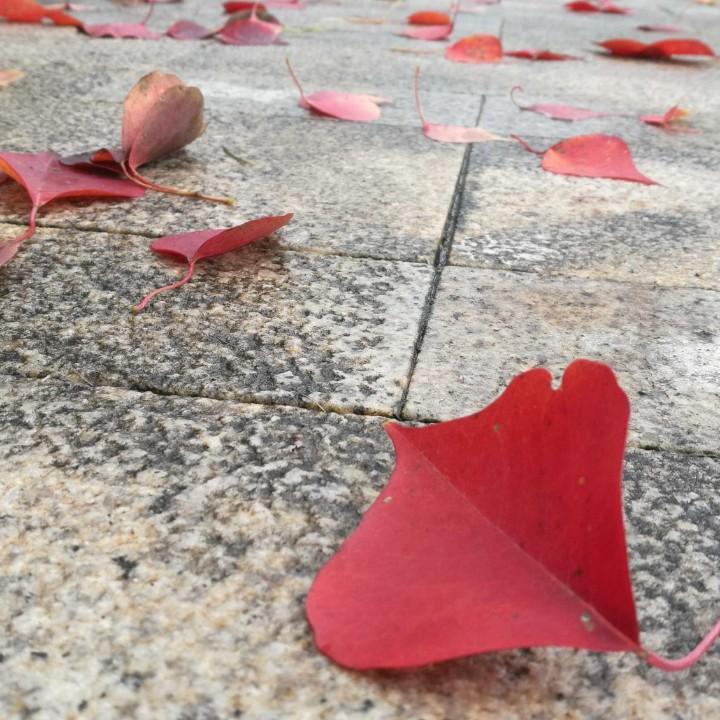 王二