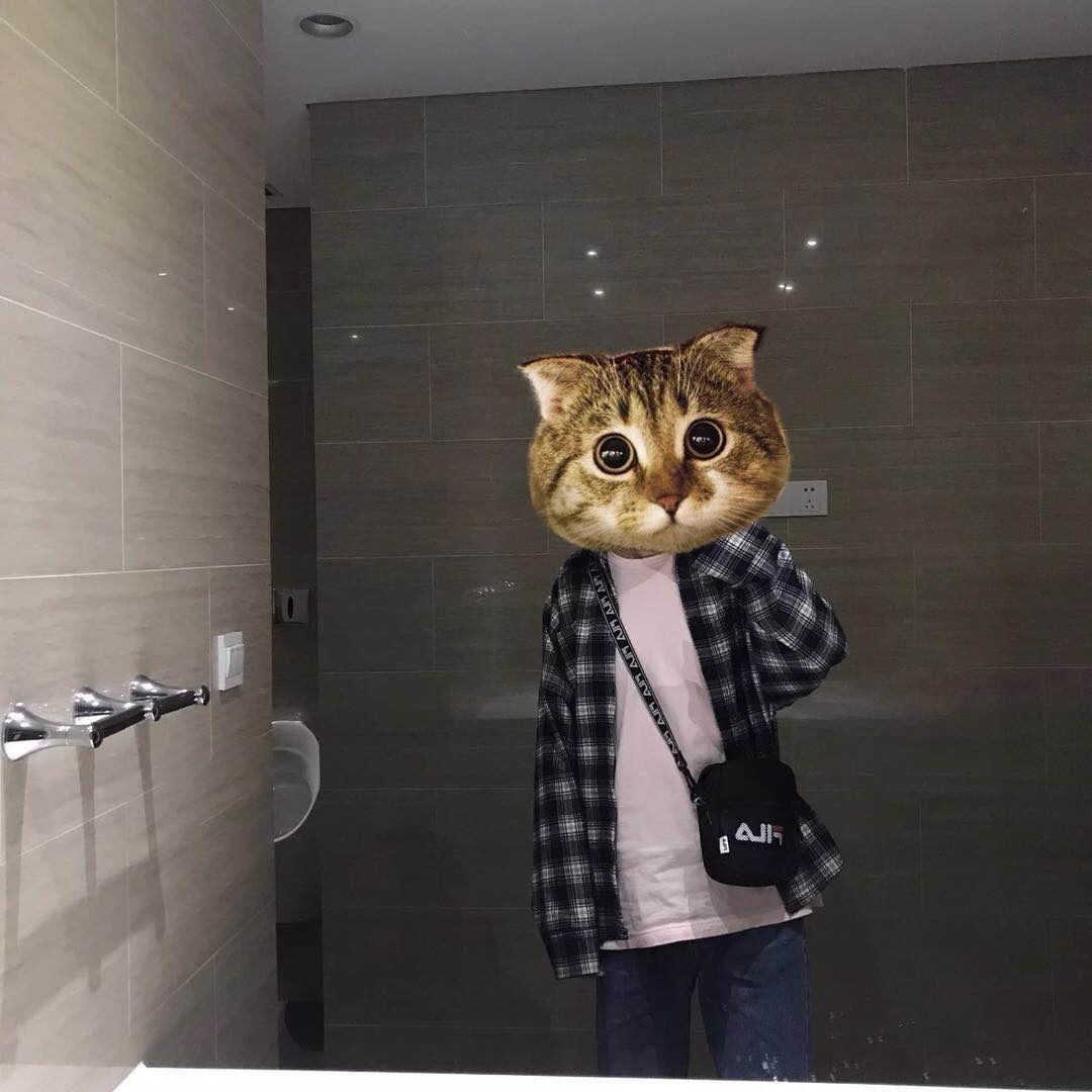 明天不熬夜了