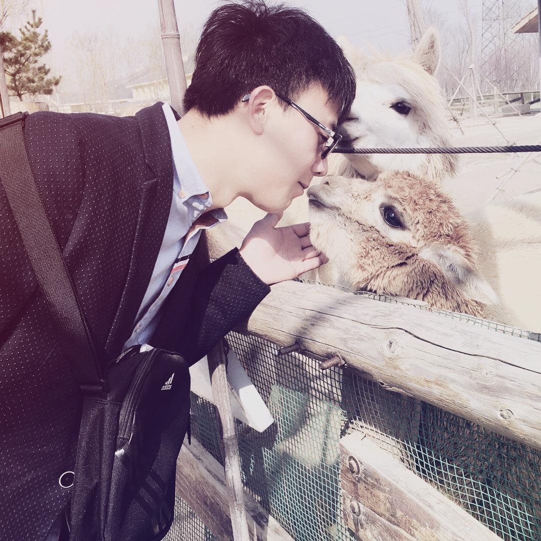 山东国昌广材- -段亚