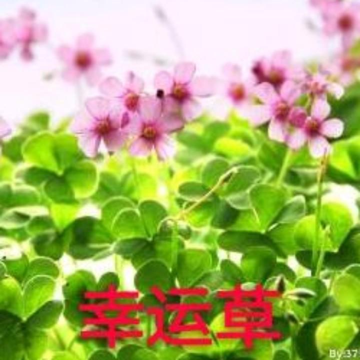 阿运用户4035890992362