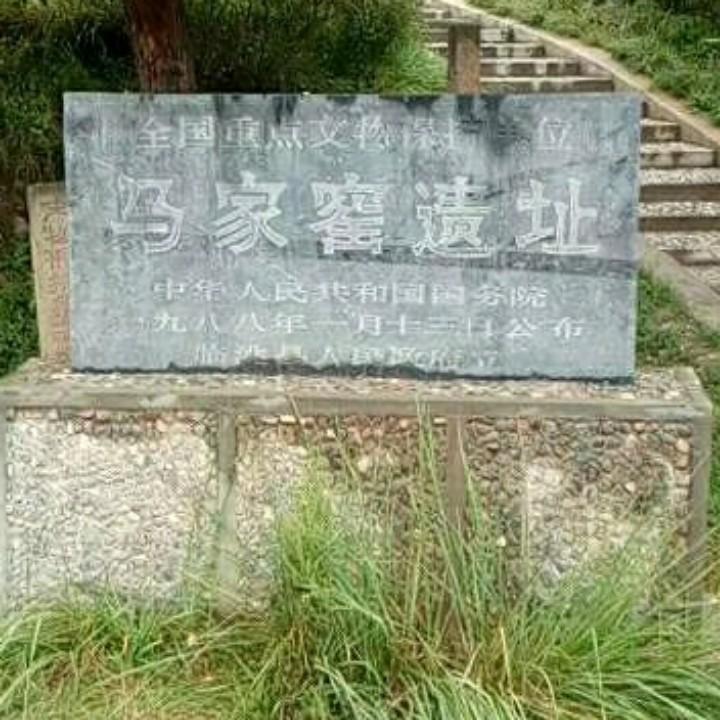 狼少
