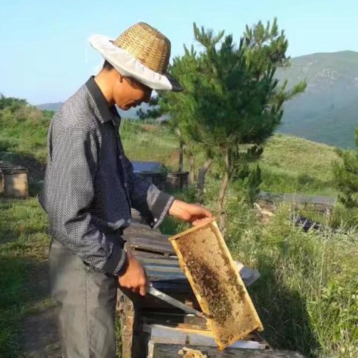 宋平蜜蜂