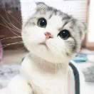 眼镜👀