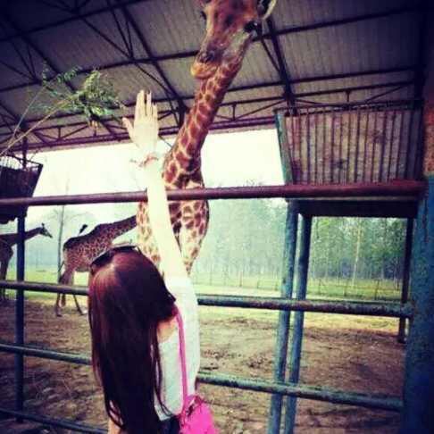 🐒小小小猴🐒