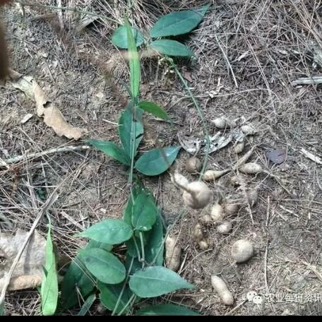 诚亿艺术玻璃门业