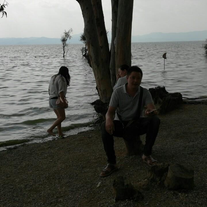 阿德（生活号）