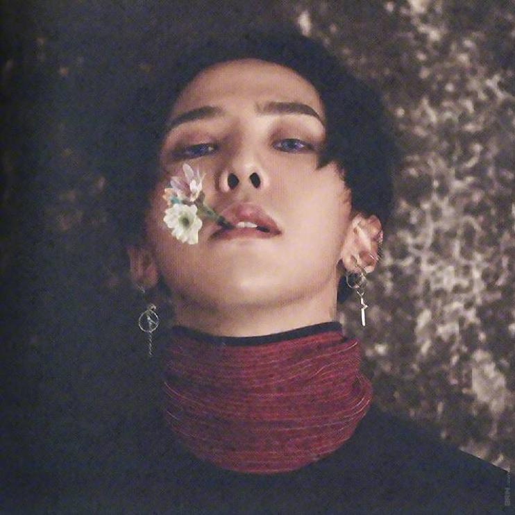 捧着你这朵美丽的花