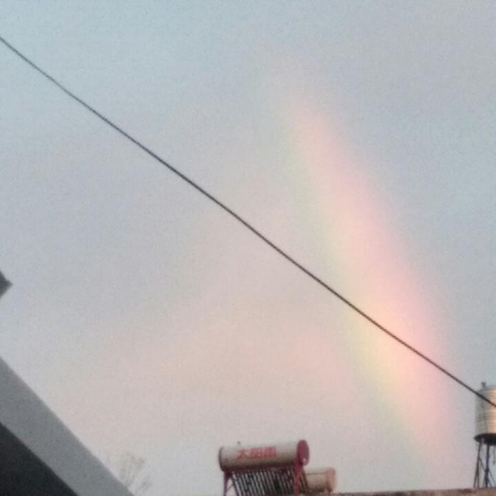 枞阳县大燕针织店