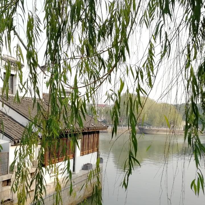 鱼三两
